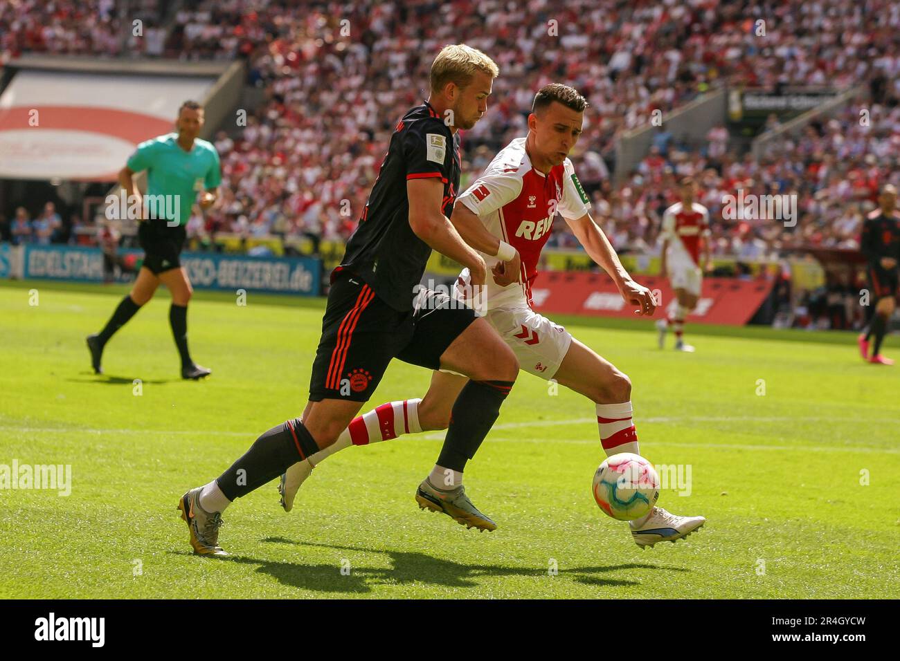 Cologne, Germany. 28th May, 2023. COLOGNE, KOELN, GERMANY, 27. May 2023; #7 Dejan Ljubicic/1. FC Koeln, #4 Matthijs de Ligt/Bayern Muenchen1. FC Koeln vs FC Bayern Muenchen, 1.BL, 27.05.2023 RheinEnergieSTADION Koeln, DFB REGULATIONS PROHIBIT ANY USE OF PHOTOGRAPHS AS IMAGE SEQUENCES AND/OR QUASI-VIDEO. Honorarpflichtiges Foto, Fee liable image, Copyright © ATP STIEFEL Udo, (Photo by © Udo STIEFEL/ATP images) (STIEFEL Udo/ATP/SPP) Credit: SPP Sport Press Photo. /Alamy Live News Stock Photo