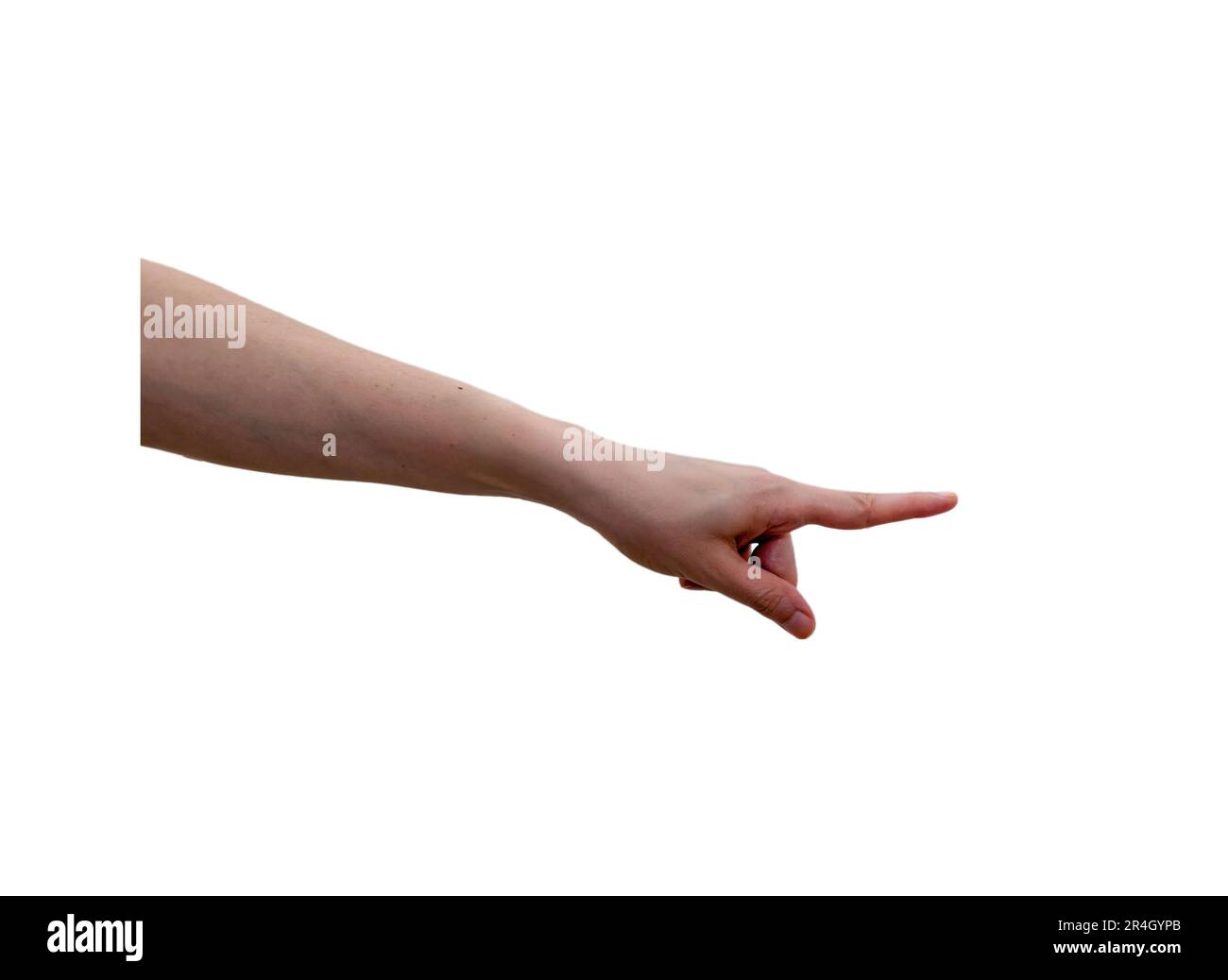 woman hands isolated on white background Stock Photo - Alamy