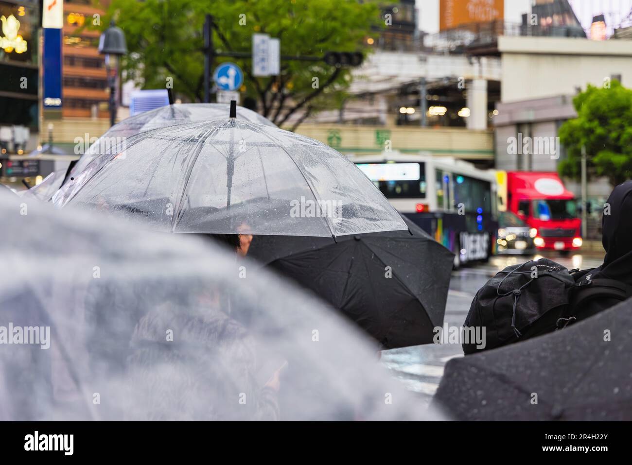 picture of people with umbrellas at the Shibuya crossing in Tokyo ...