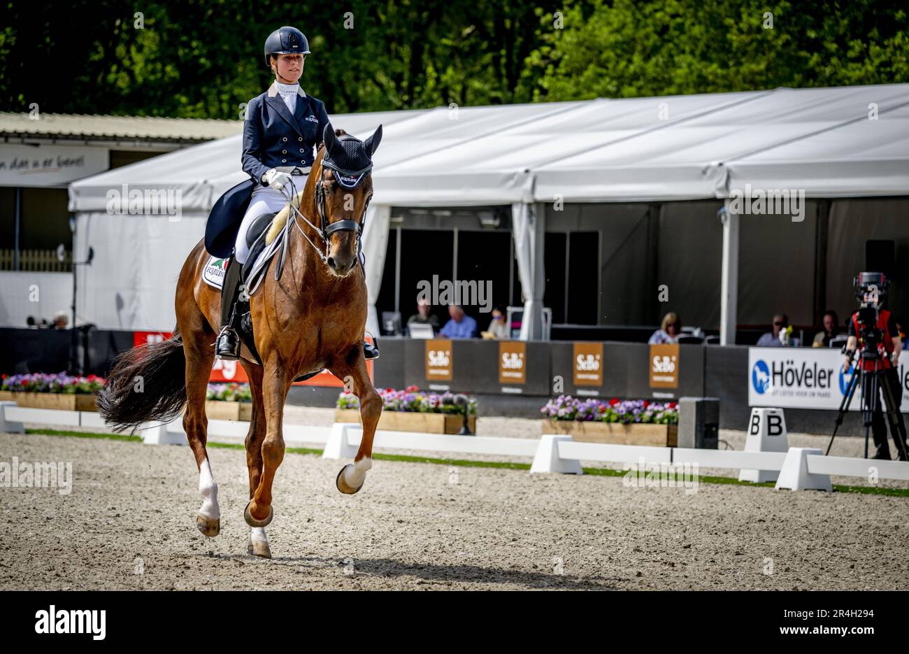 ERMELO - Adelinde Cornelissen with Fleau de Baian in action during the final of the Heavy Tour Freestyle at the National Dressage Championships. ANP ROBIN UTRECHT netherlands out - belgium out Stock Photo