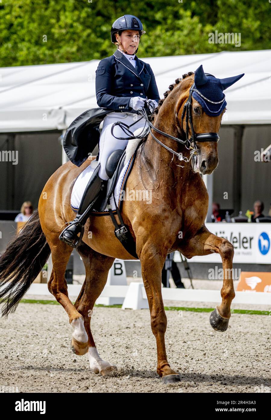 ERMELO - Mirelle van Kemenade-Witlox with Siebenstein 12 in action during the final of the Heavy Tour Freestyle at the NK Dressage. ANP ROBIN UTRECHT netherlands out - belgium out Stock Photo