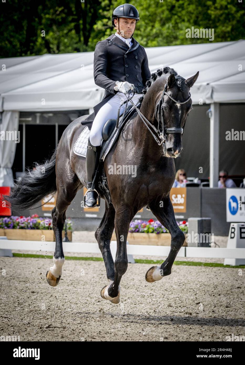 ERMELO - Laurens van Lieren with Dutch Design in action during the final of the Heavy Tour Freestyle at the NK Dressage. ANP ROBIN UTRECHT netherlands out - belgium out Stock Photo
