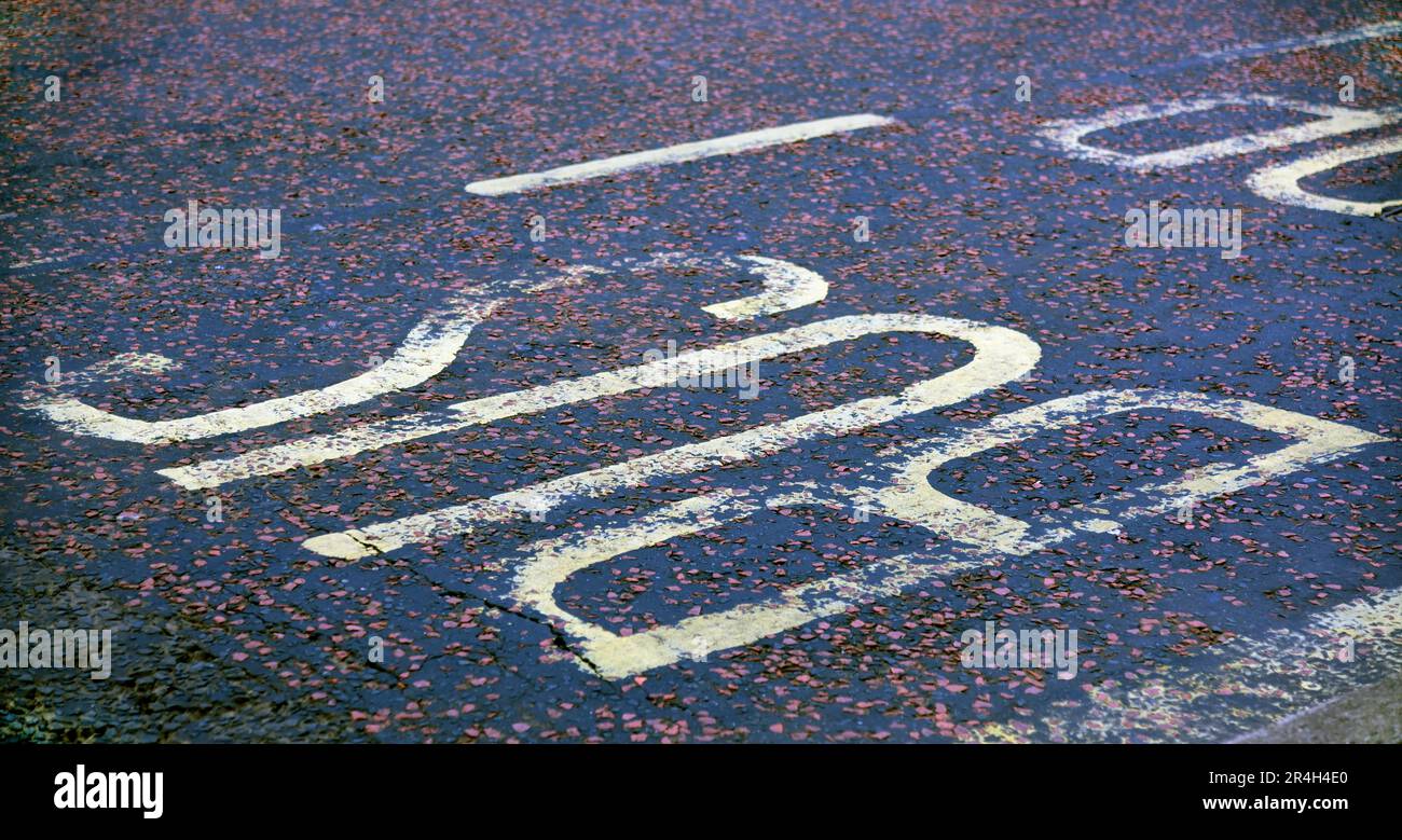 Road markings at bus stop hi-res stock photography and images - Alamy