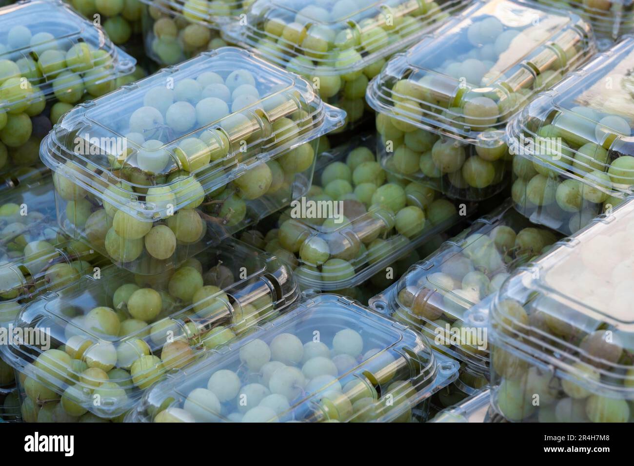 White grapes packed in transparent plastic boxes in a supermarket Stock Photo