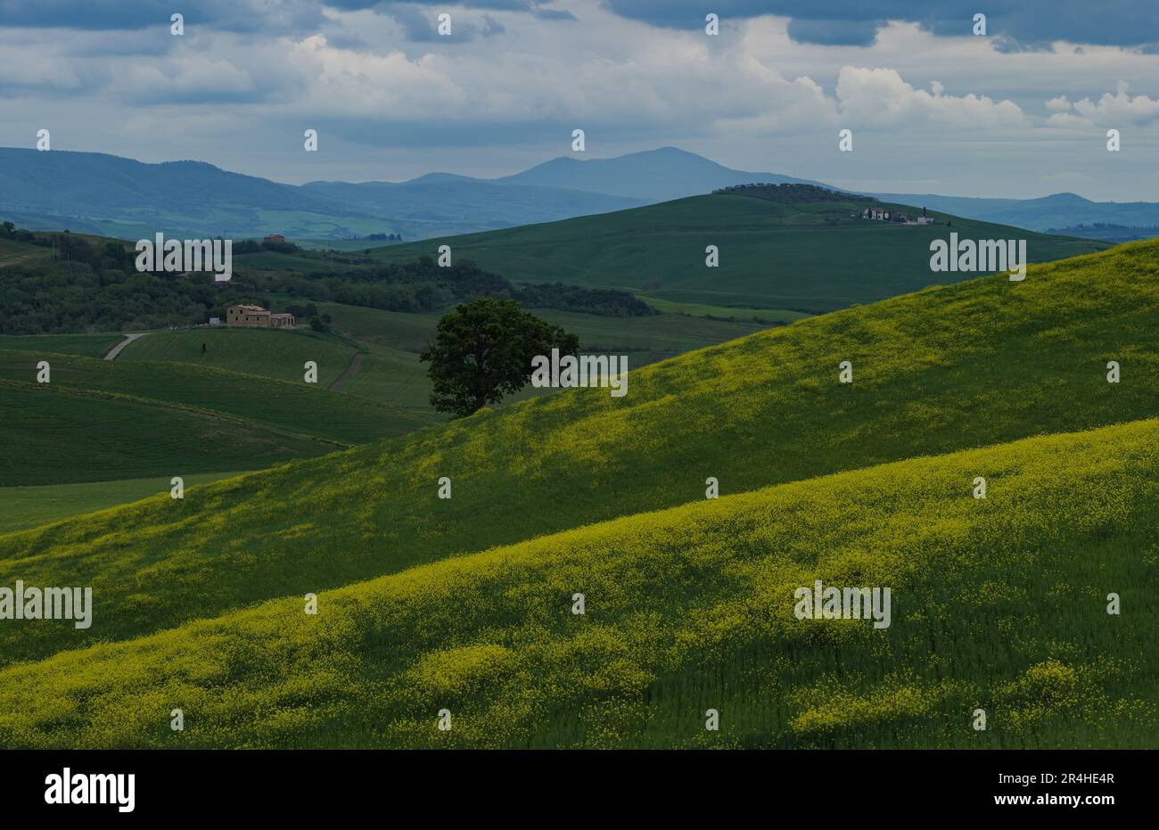 Tuscany fields in springtime, cloudy day mood, Val d'Orca, Pienza region Stock Photo