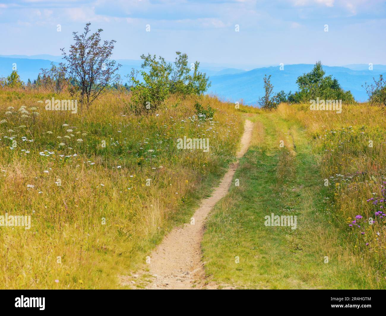 Hiking path through sunny plain hi-res stock photography and images - Alamy
