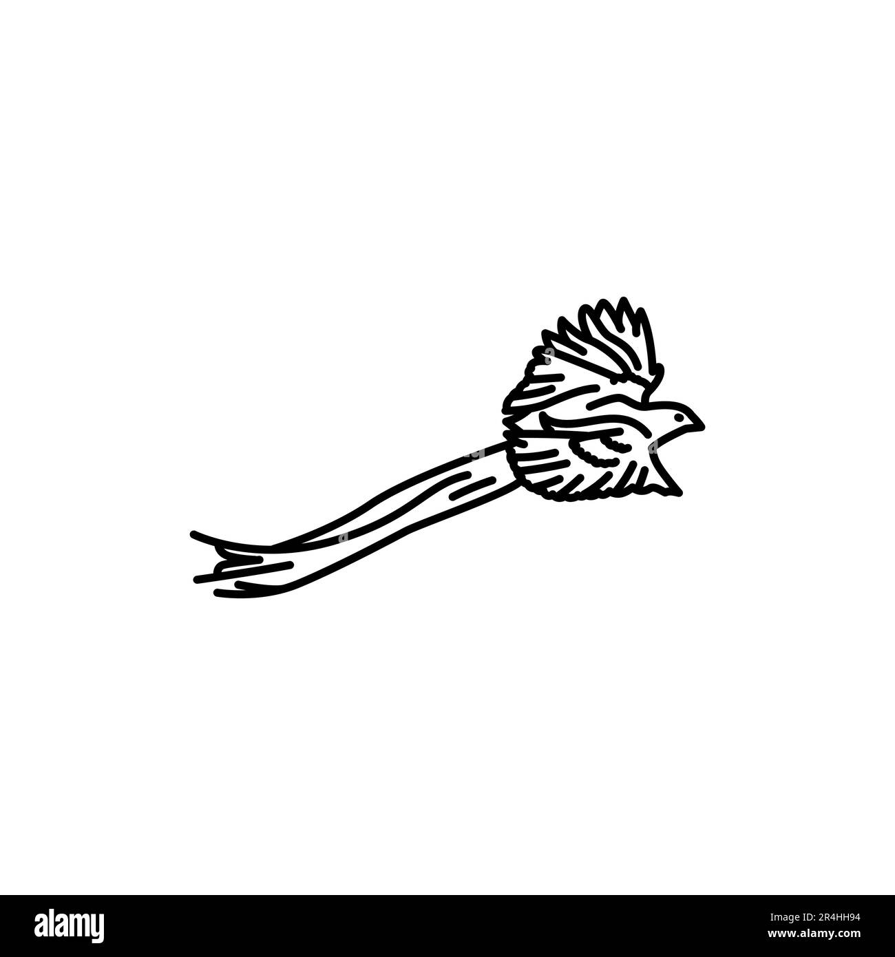 Long-tailed velvet weaver black line icon. Pictogram for web page
