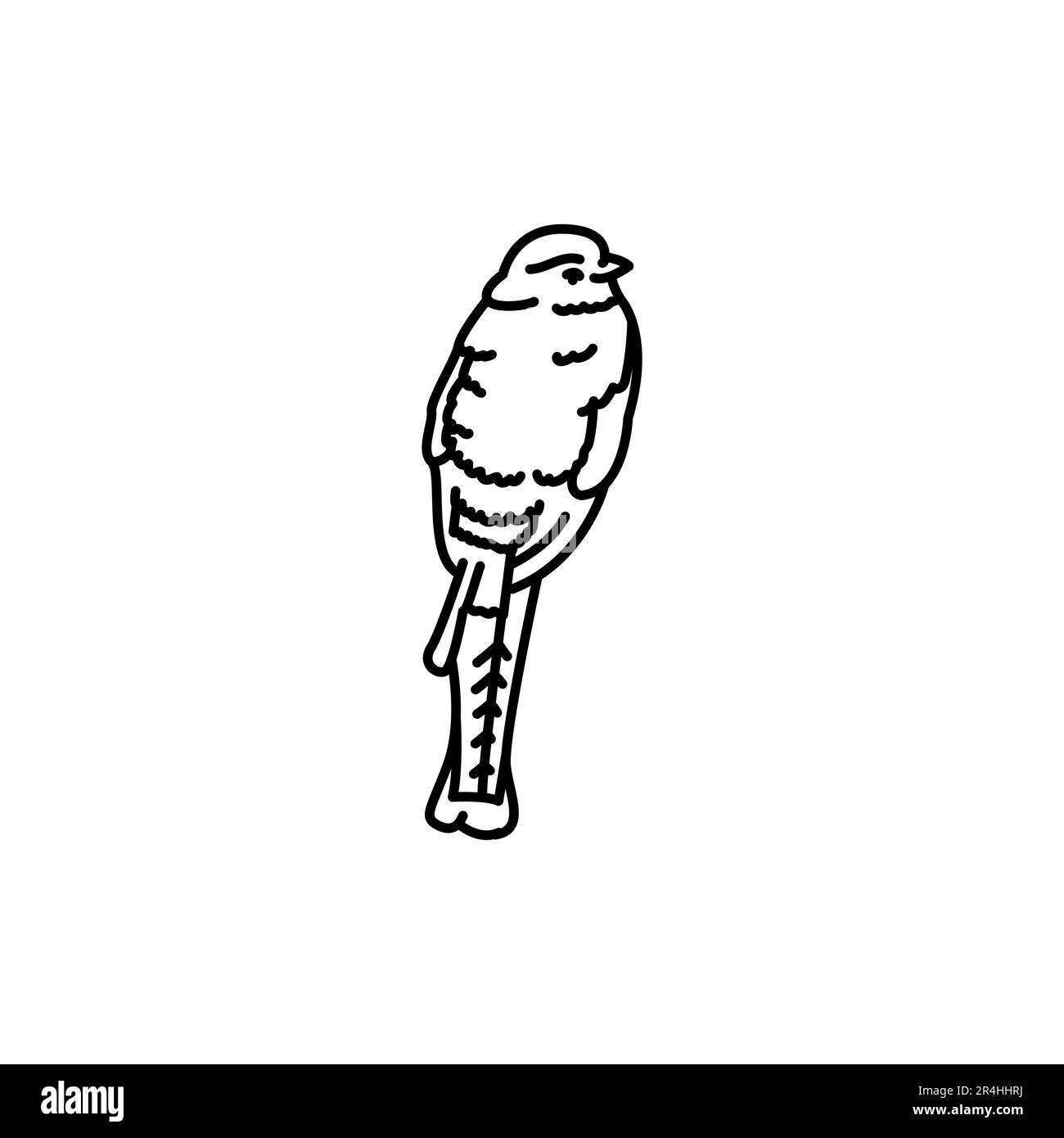 Trigon bird black line icon. Pictogram for web page, mobile app, promo