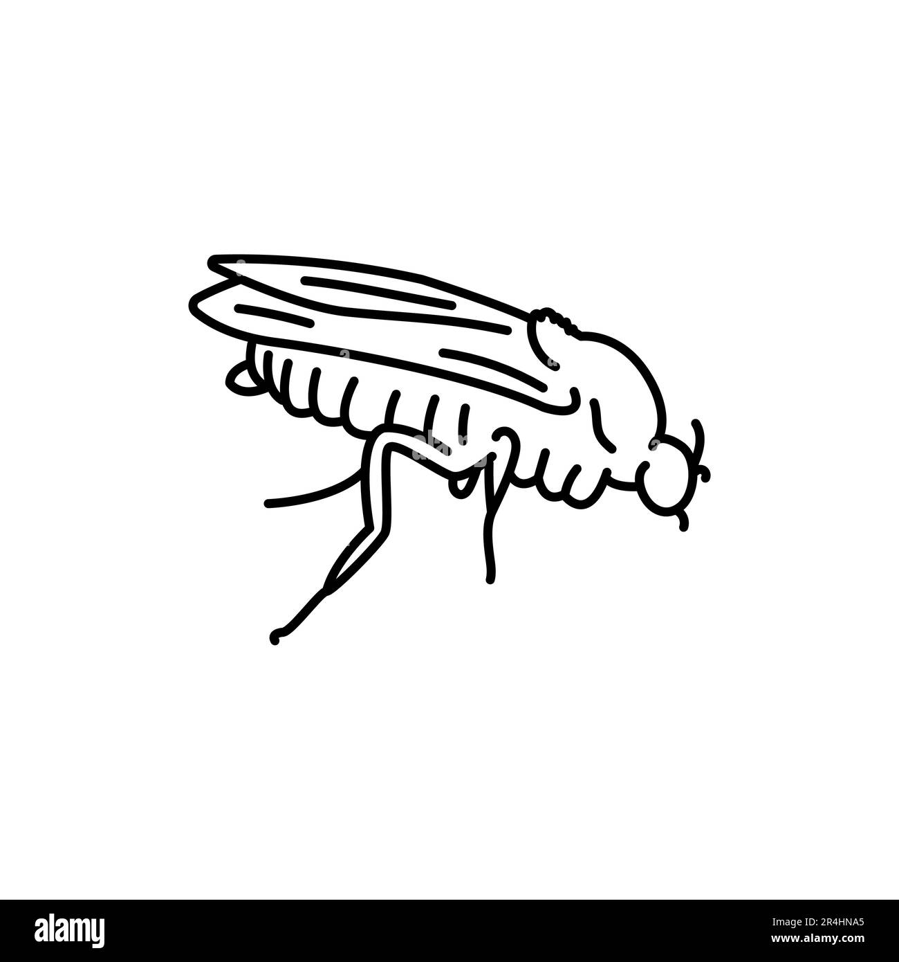 Midge sting hi-res stock photography and images - Alamy