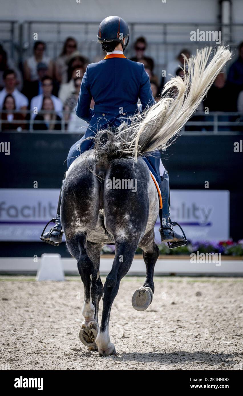 ERMELO - Thamar Zweistra with Hexagon's Ich Weiss in action during the final of the Zware Tour Freestyle at the NK Dressage. ANP ROBIN UTRECHT Stock Photo