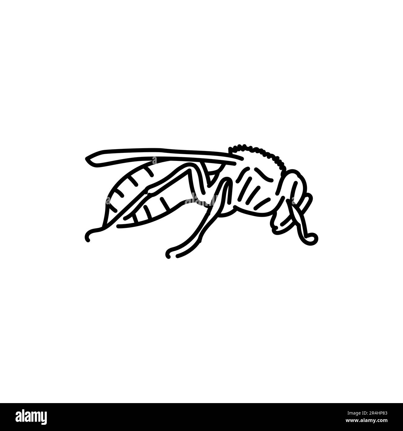 Hornet black line icon Stock Vector Image & Art - Alamy