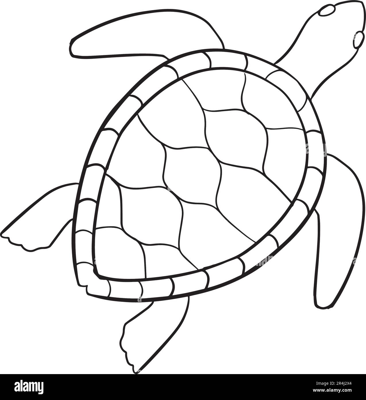 Vector set of cartoon style turtles . Animal character illustration for children. Hand drawn line drawings of funny Turtles. Big collection of turtles Stock Vector