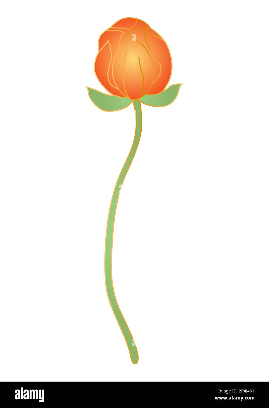 Lotus in oriental style. Chinese and japanese traditional illustration ...