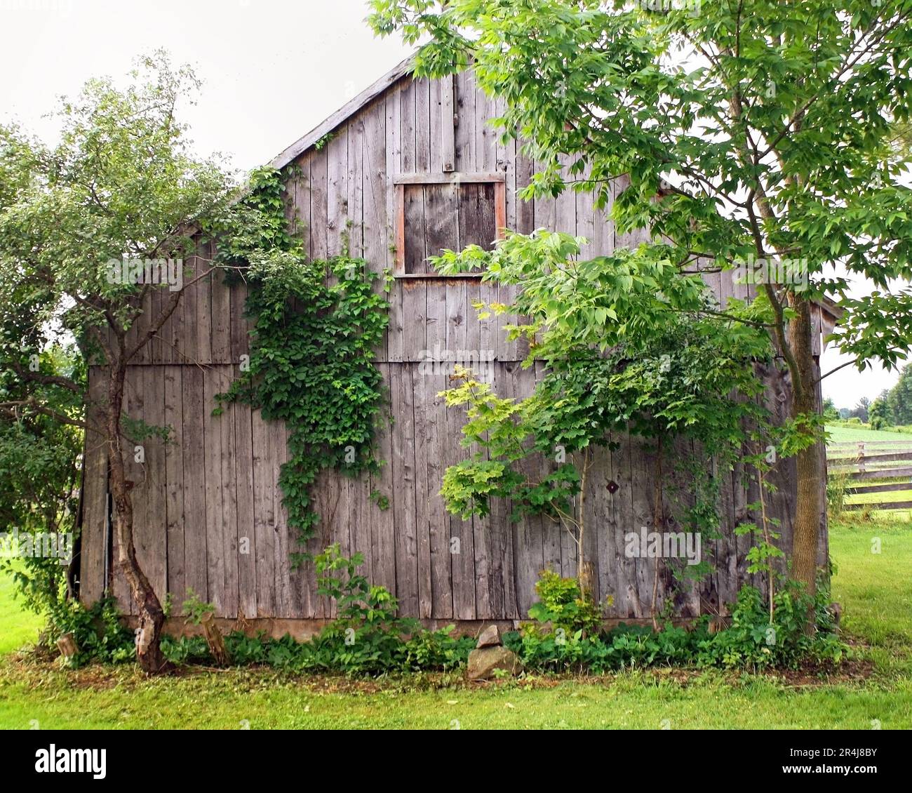 Old rustic farm barn in need of repair Stock Photo
