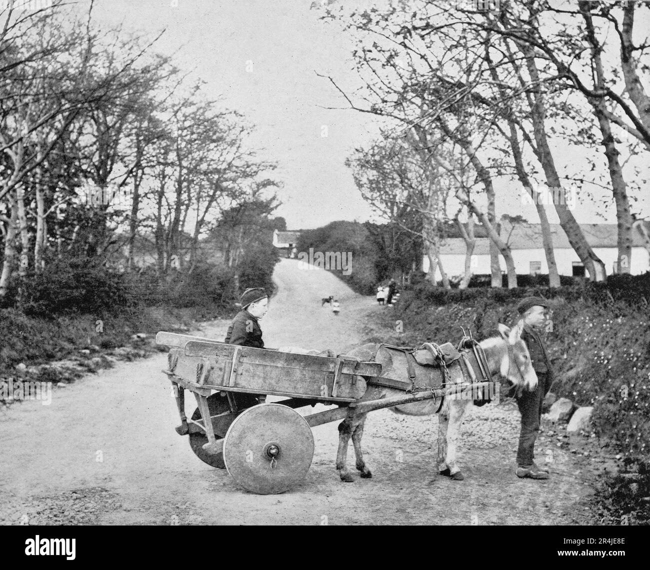 A late 19th century block wheeled cart, a throwback to ancient times appears awkward, but was very strong. Pulled by a donkey and manned by two young lads from Carrickfergus area in County Antrim, Northern Ireland Stock Photo