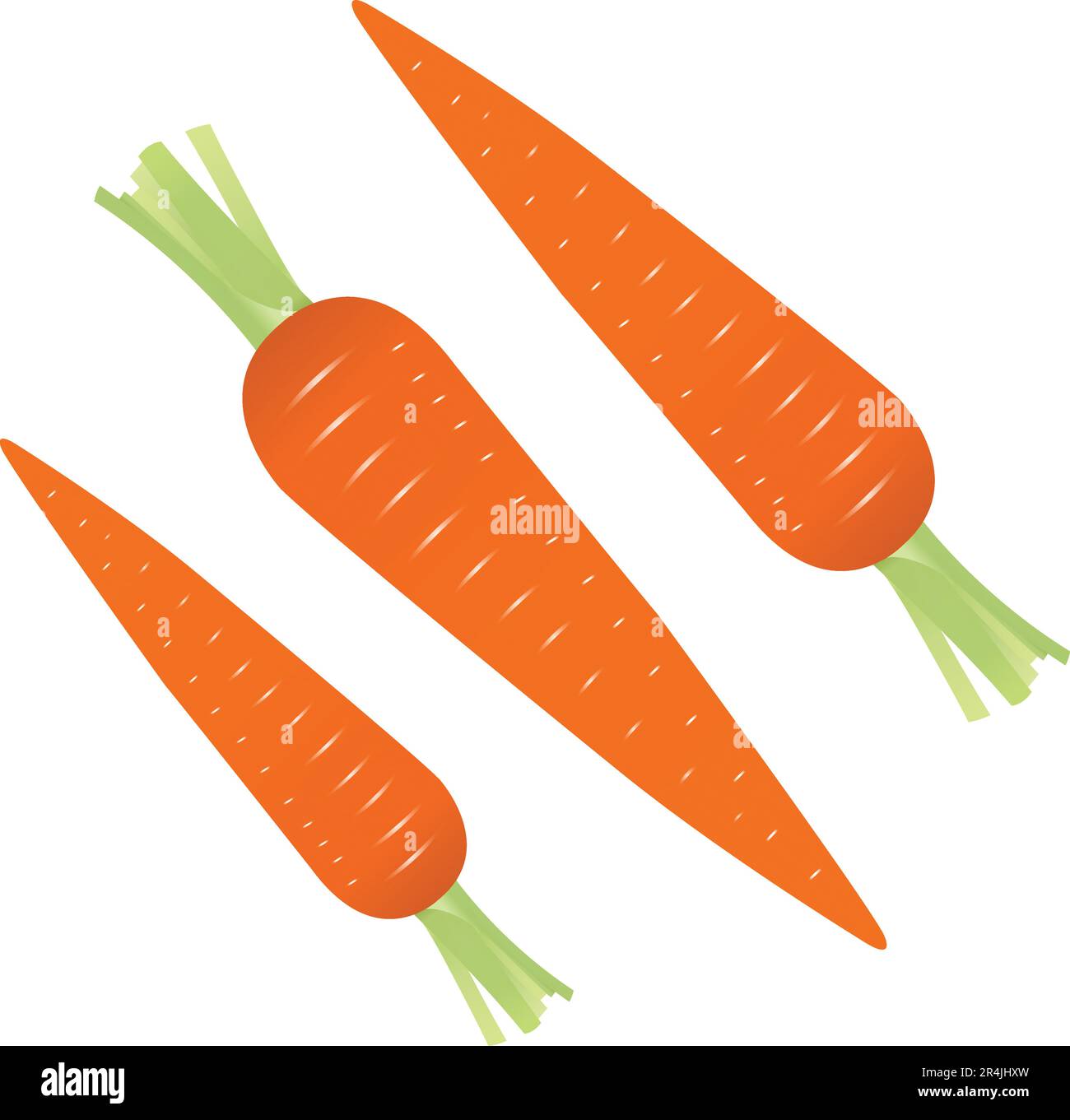 Carrot realistic vector illustrations Stock Vector