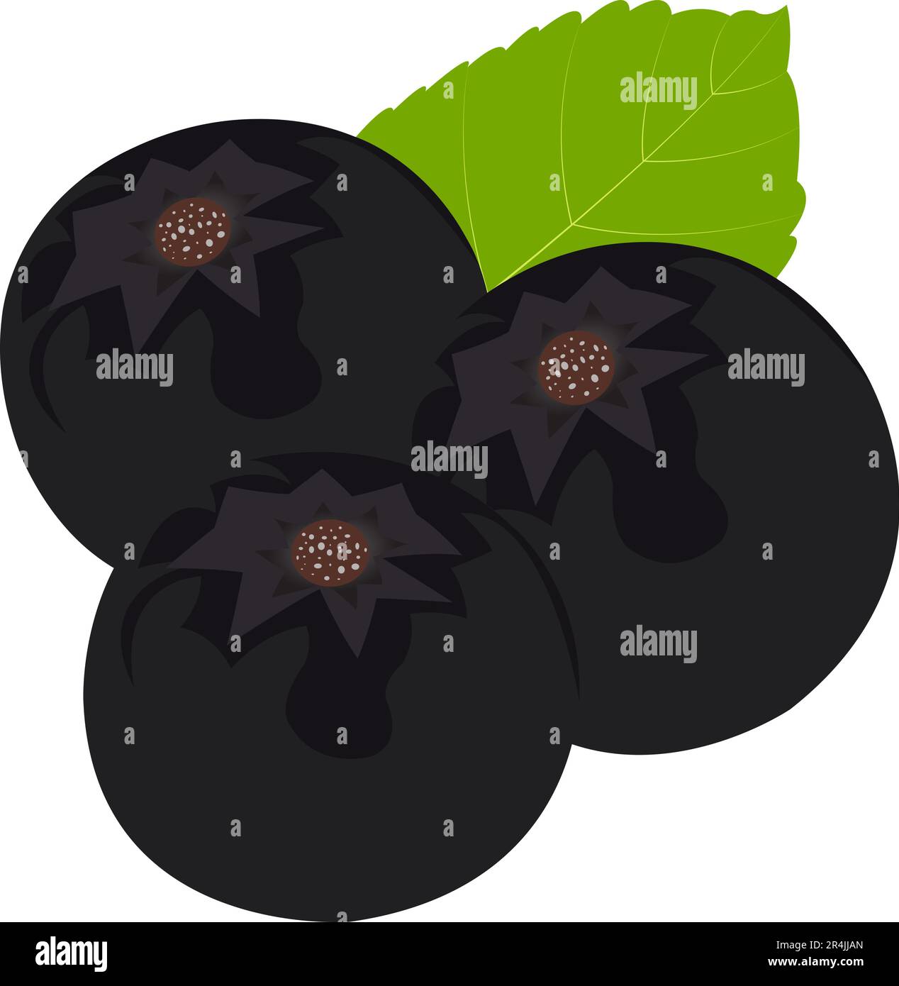 Health and Nutrition Benefits of Blackberry, cranberry juice aronia