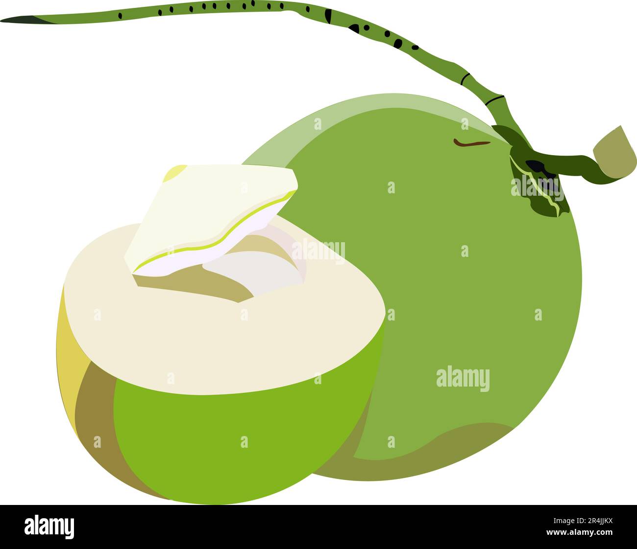 Health and Nutrition Benefits of coconut, coconut fruit vector