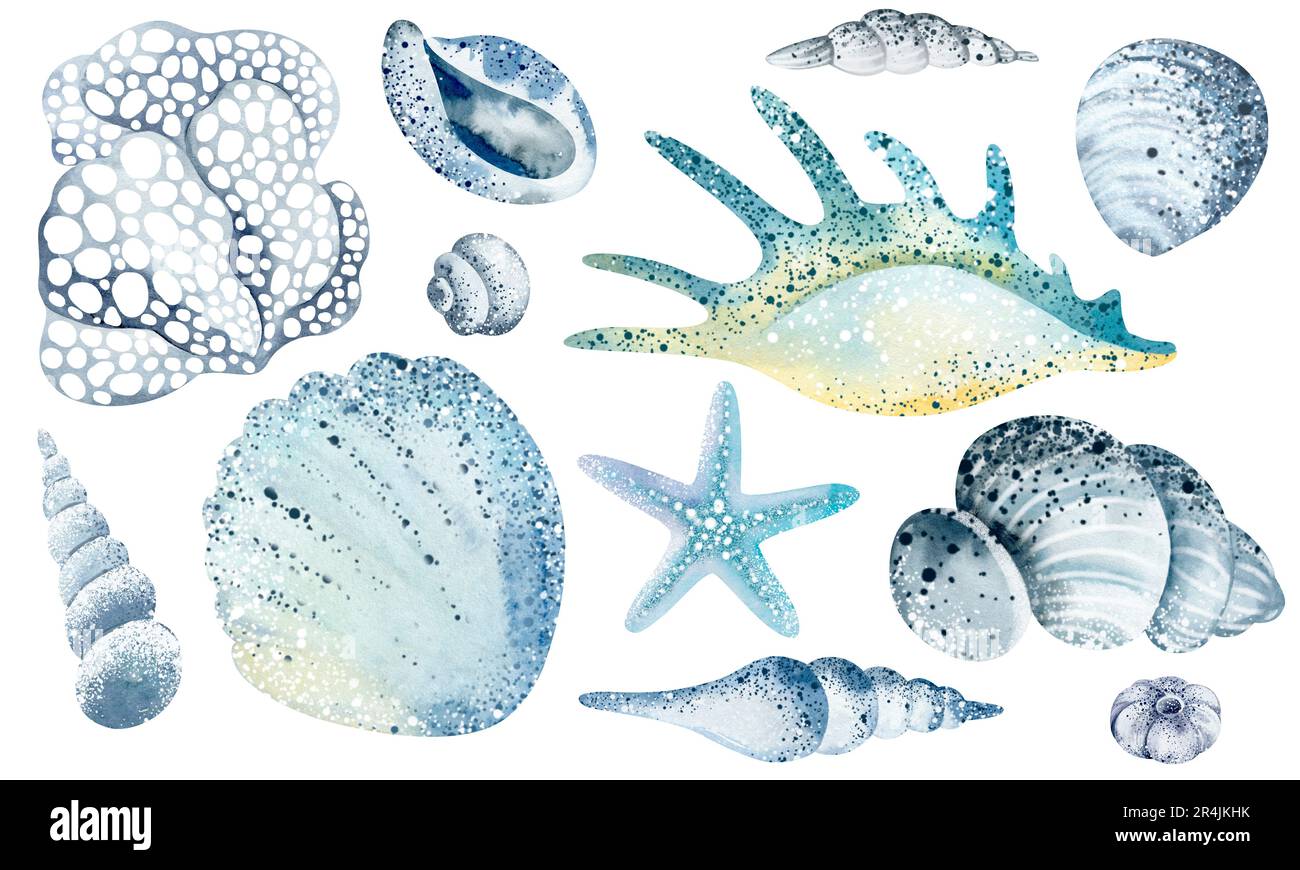 Set of Seashells on isolated white background, watercolor illustration ...