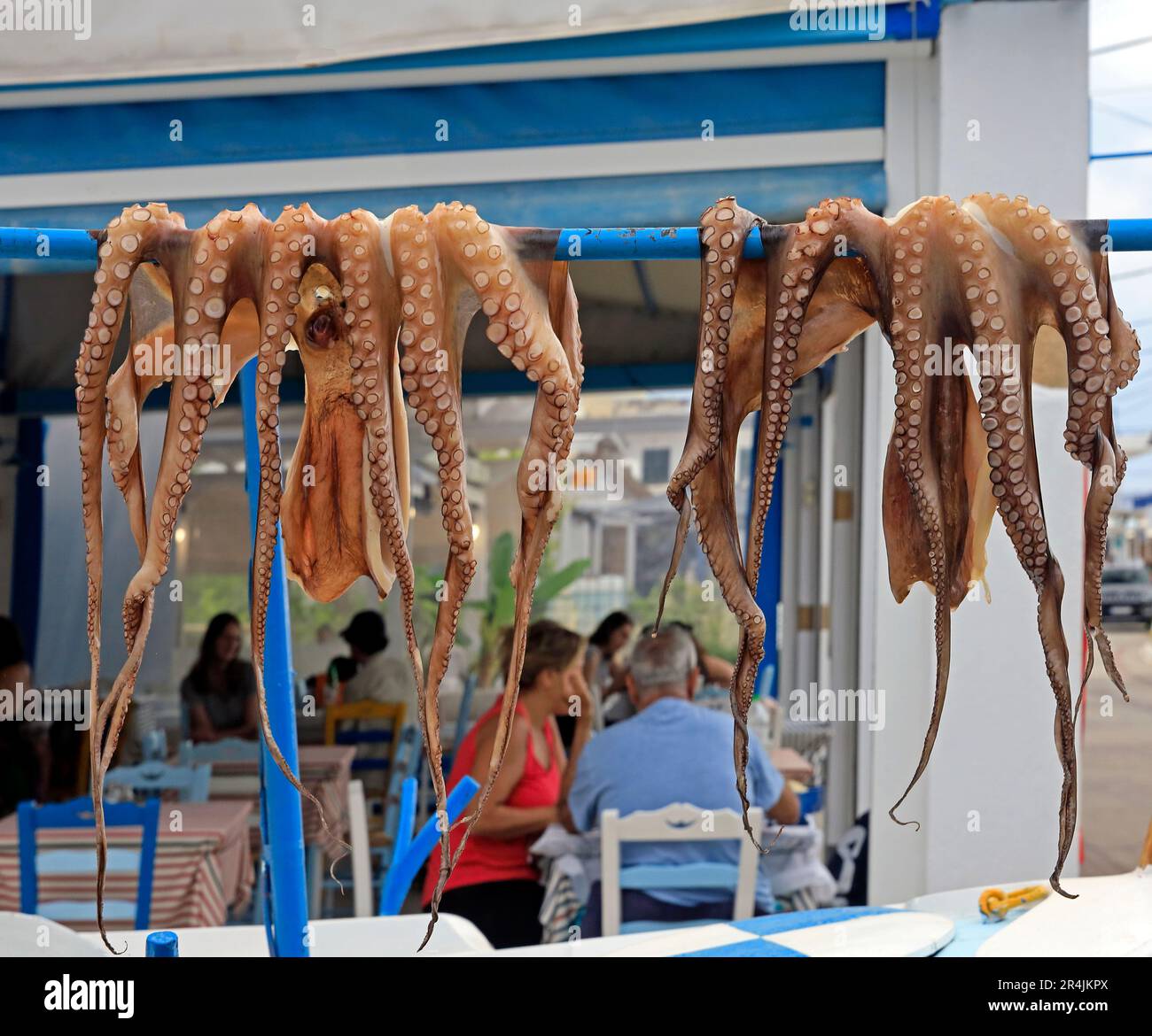 Octopus hanging hi-res stock photography and images - Alamy