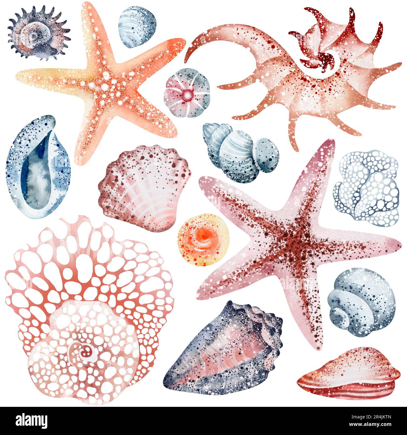 Set of Seashells on isolated white background, watercolor illustration ...
