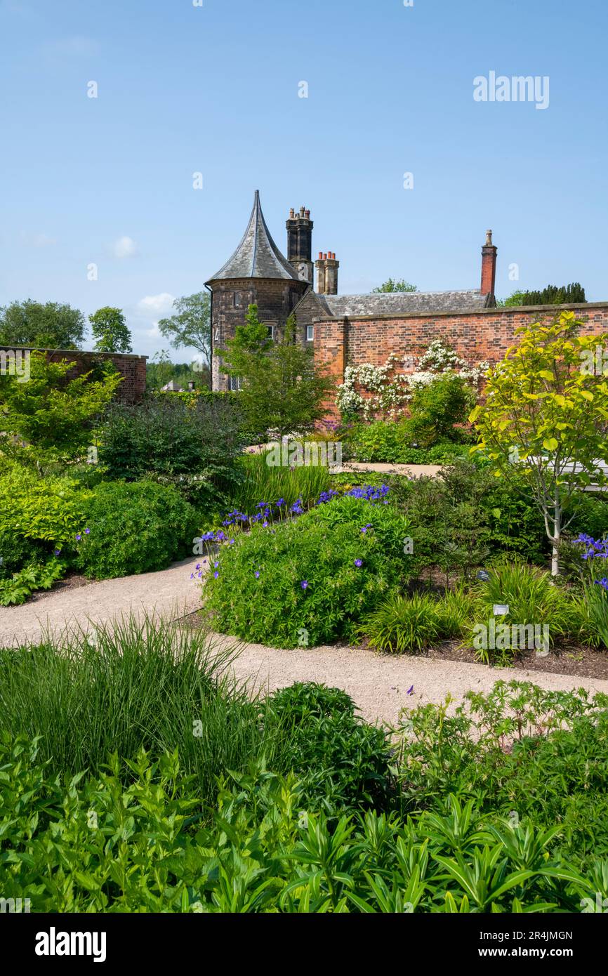 the-paradise-garden-at-rhs-bridgewater-worsley-greater-manchester