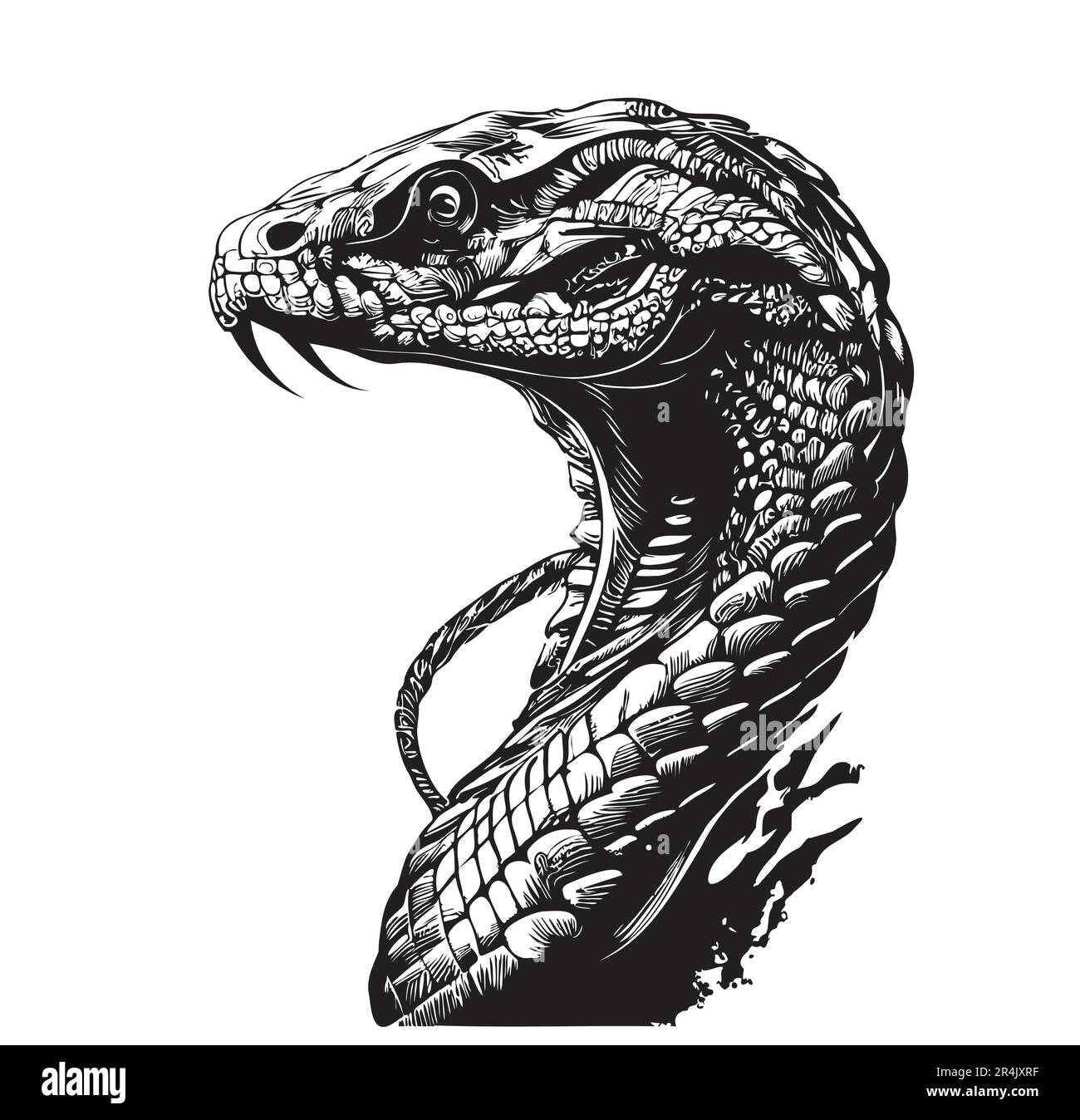 coiled rattlesnake drawing realism