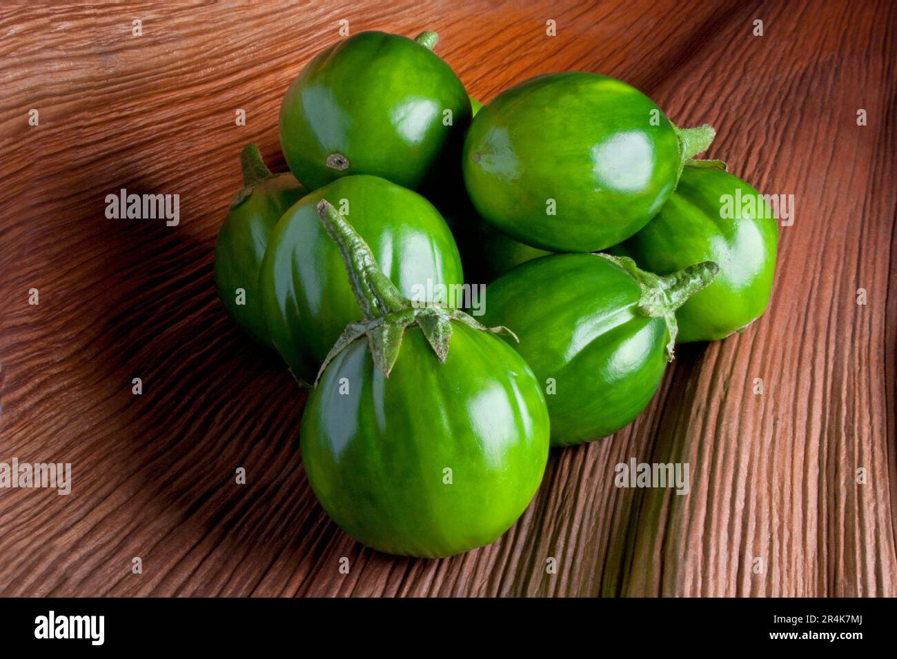 Scarlet eggplant (jiló) full screen, top view. Formerly Solanum gilo, now  considered a group of cultivars of Solanum aethiopicum, is the fruit of the  herbaceous plant Jiloeiro. Cultivated in Brazil. Stock Photo