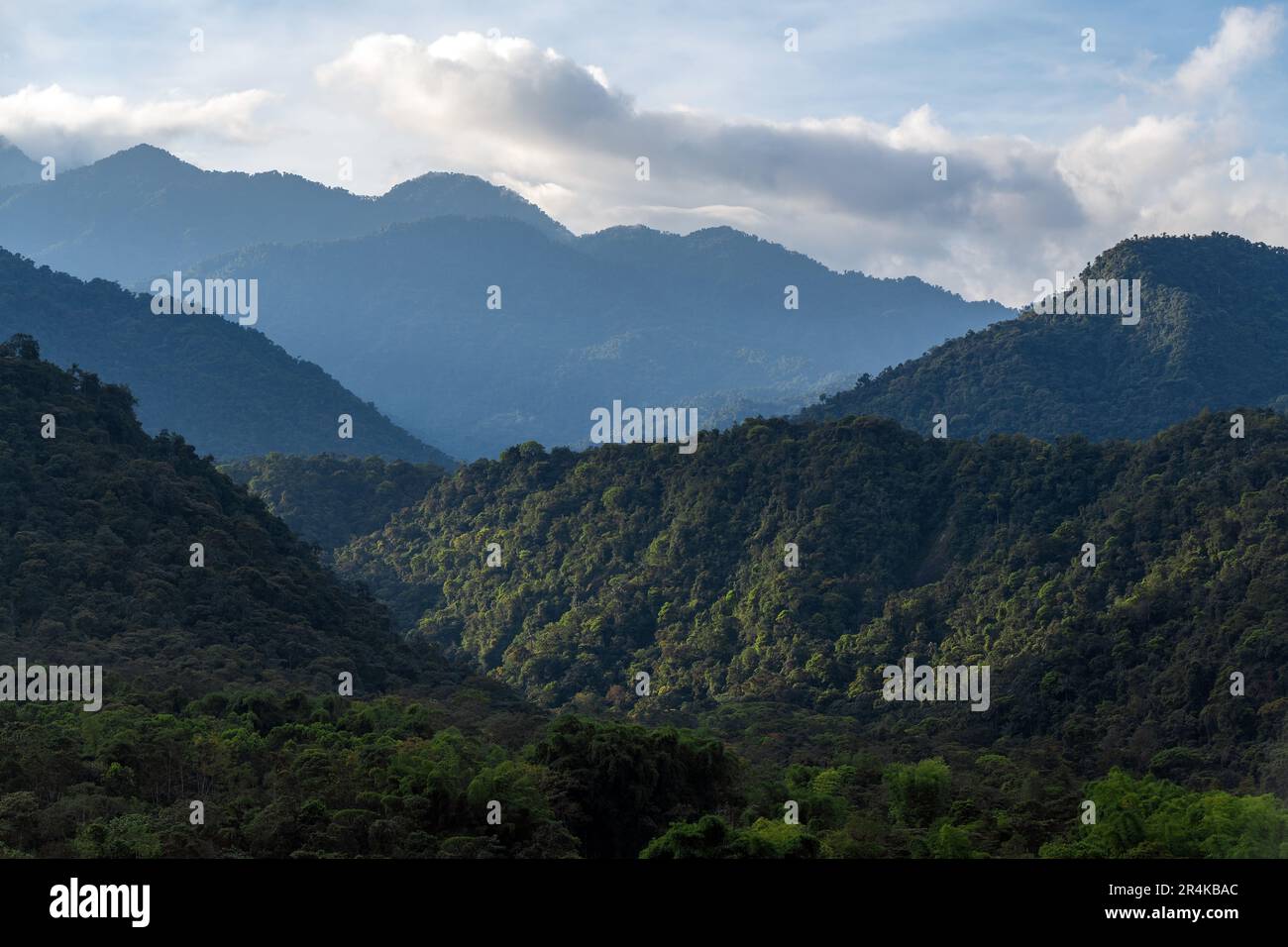 Mindo cloud forest landscape near Quito, Ecuador. Stock Photo