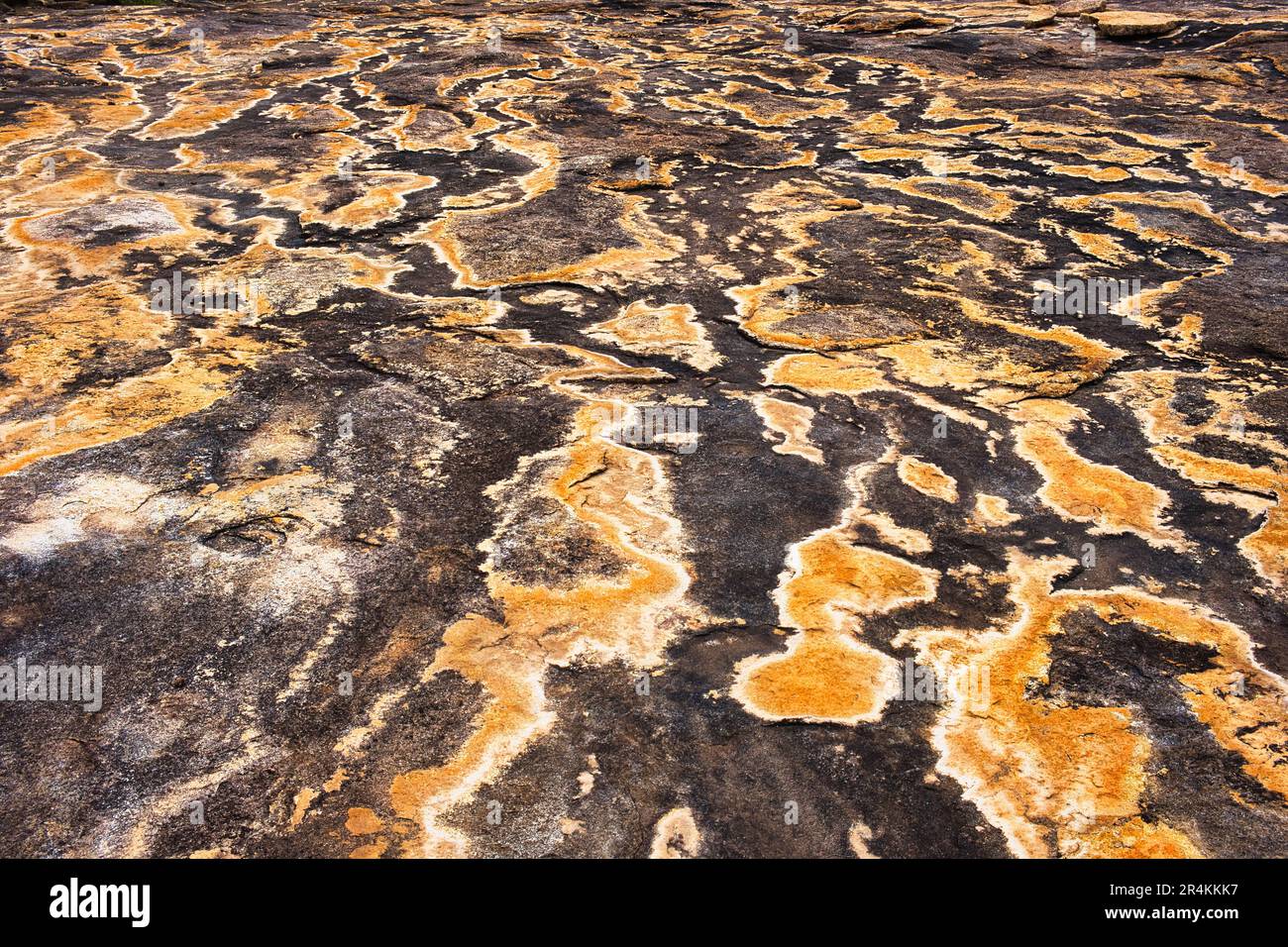 Abstract patterns of lichen and water run-off on granite in Cape Le Grand National Park, Esperance, Western Australia Stock Photo