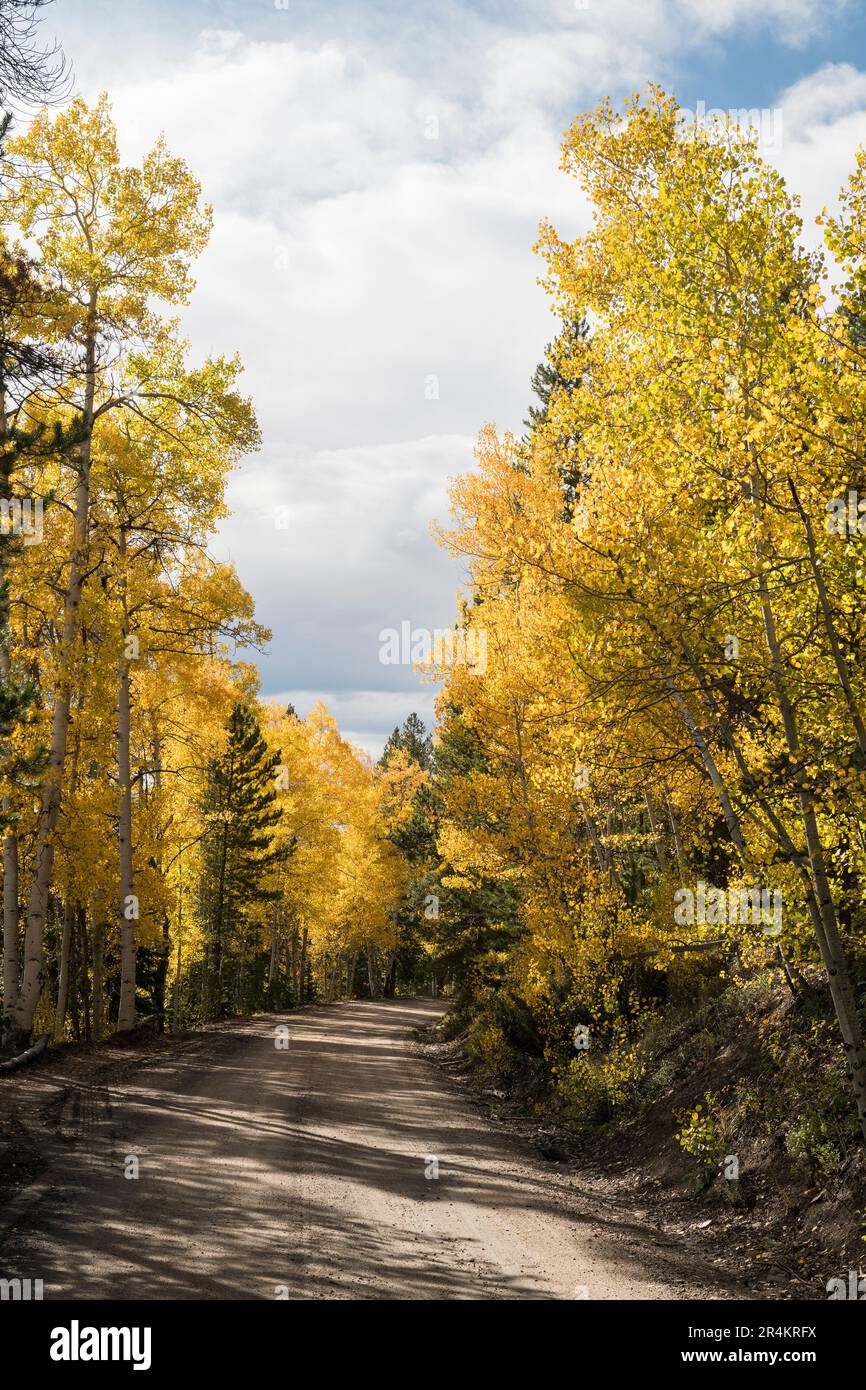 Ivanhoe Lake Road Hi-res Stock Photography And Images - Alamy