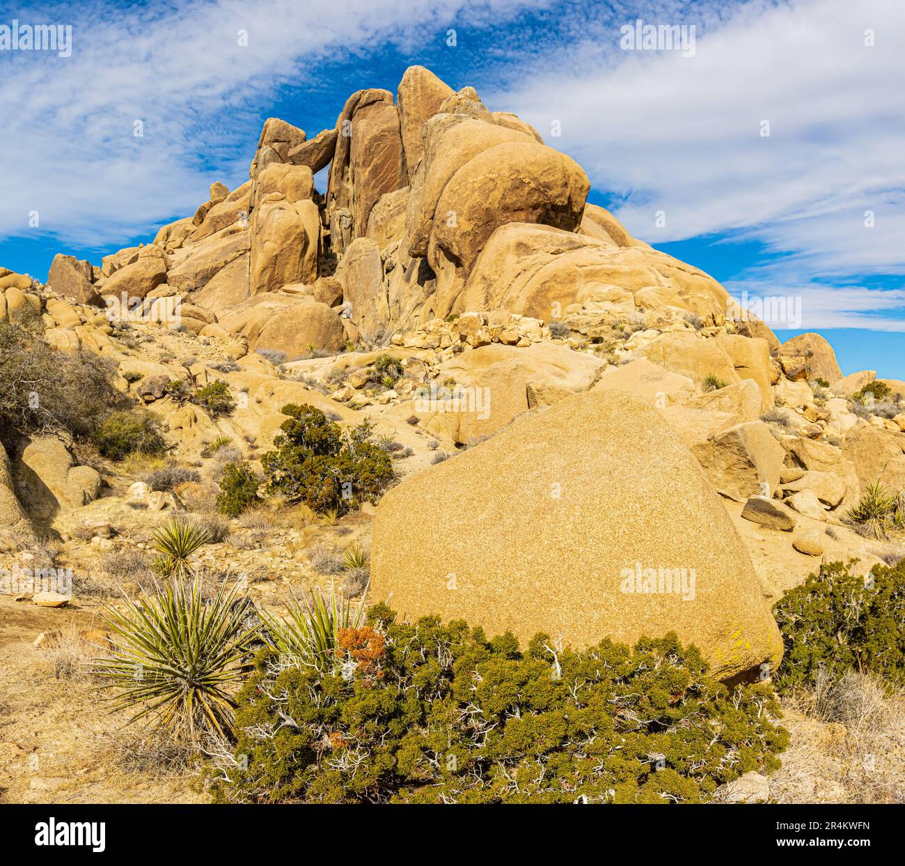 Granite Rock Formations on The Split Rock Loop Trail, Joshua Tree