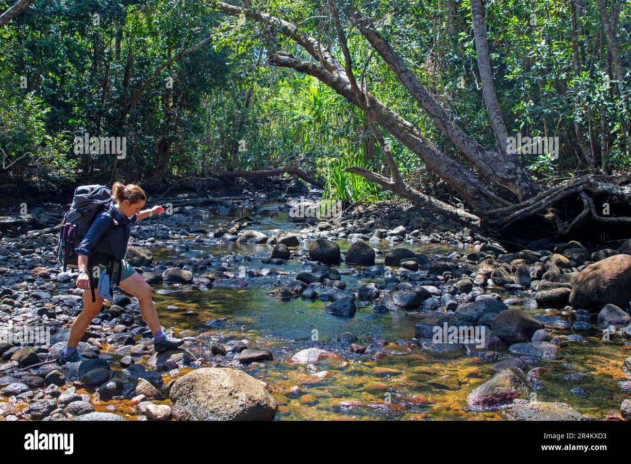 Creek crossing on the Thorsborne Trail, Hinchinbrook Island Stock Photo