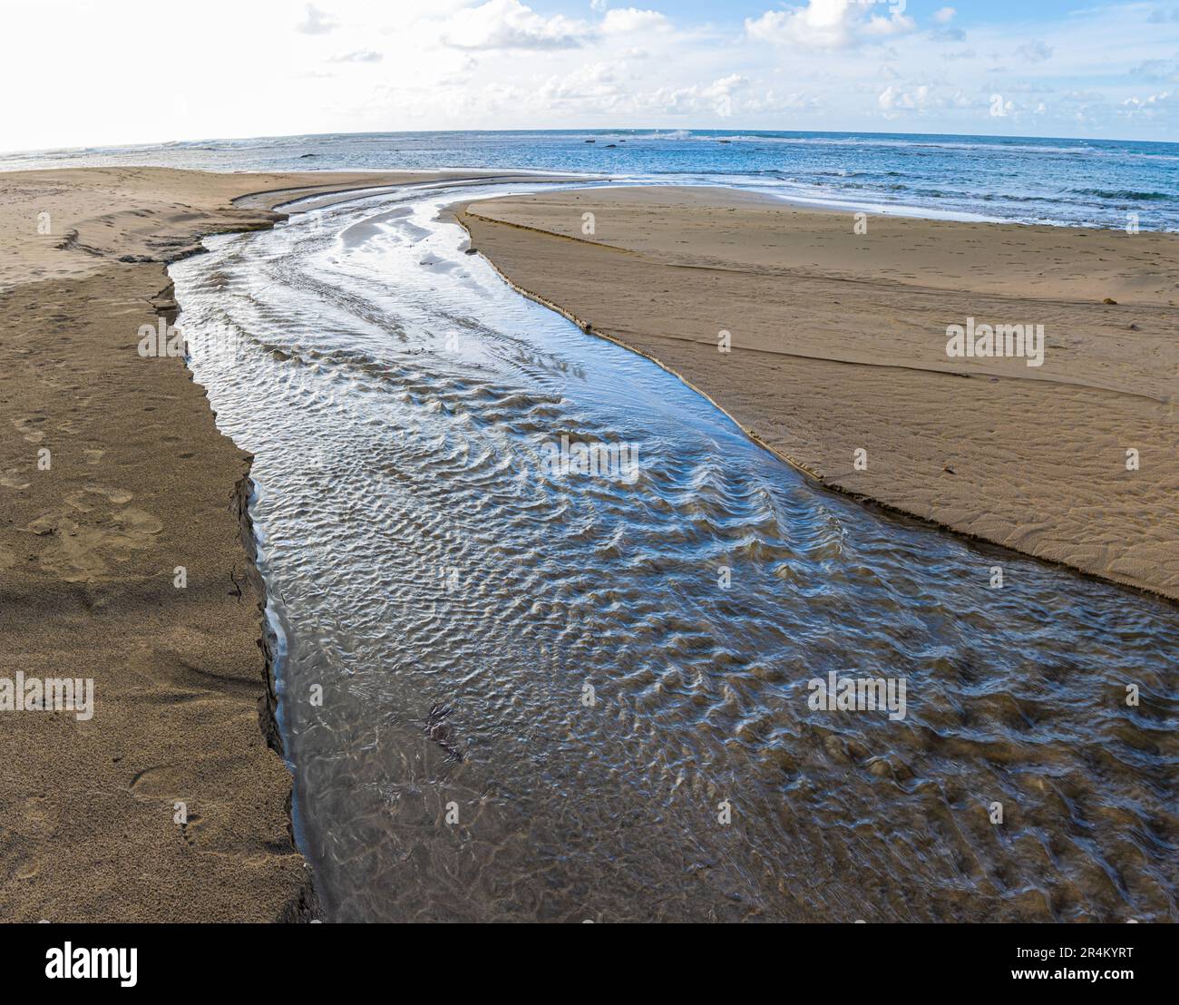 Live stream hawaii beach