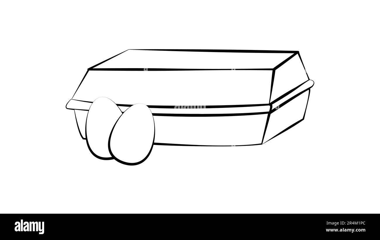 Chicken eggs in carton egg box isolated on white background. Cardboard