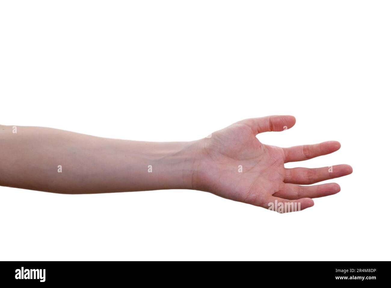woman hands isolated on white background Stock Photo - Alamy