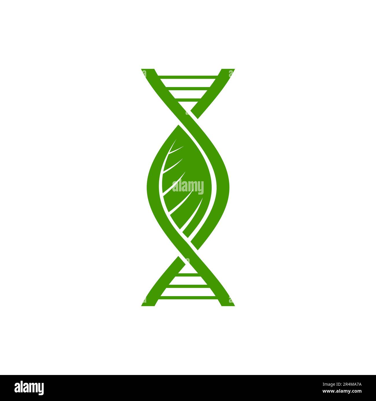 Plant DNA icon, leaf and green gene helix strand vector symbol of