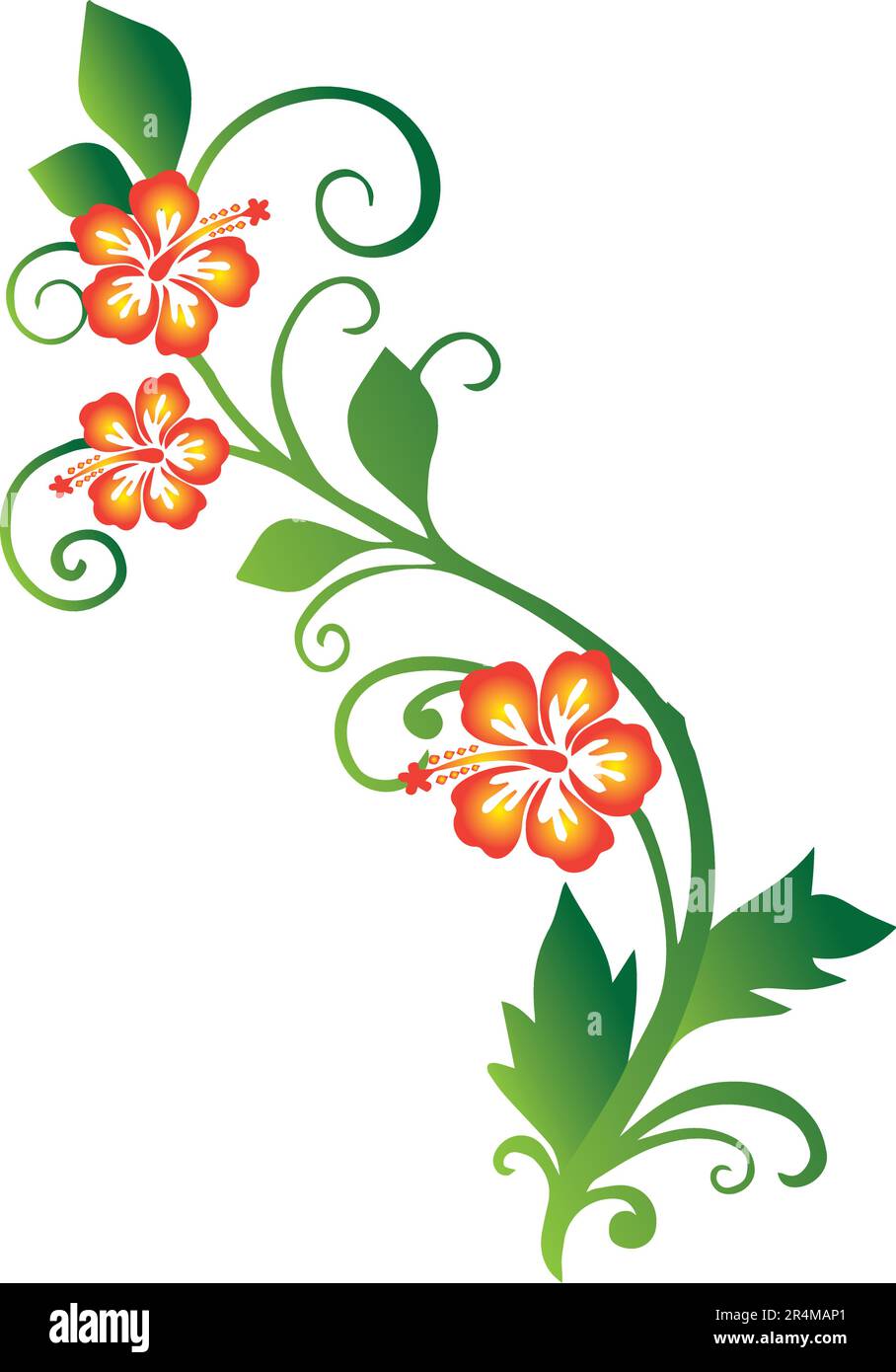 Hibiscus Plant Vector Stock Vector Image & Art - Alamy