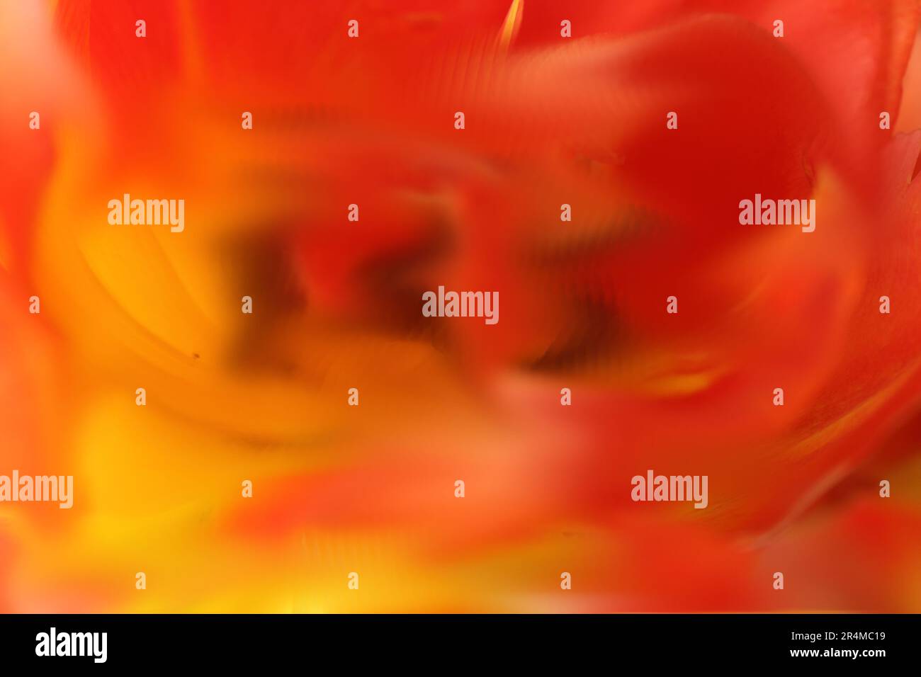 Orange colours hi-res stock photography and images - Alamy