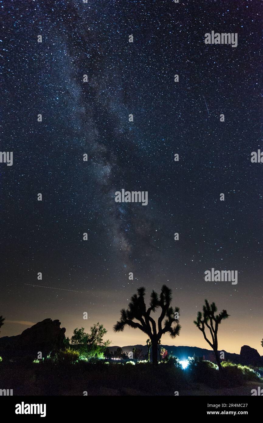 Impression of the night sky on a quiet summer evening in Joshua Tree ...