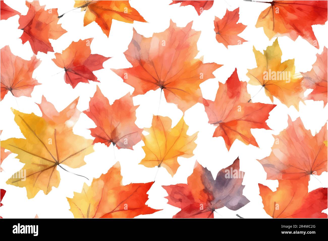 watercolor set vector illustration of maple leaves isolate on white ...