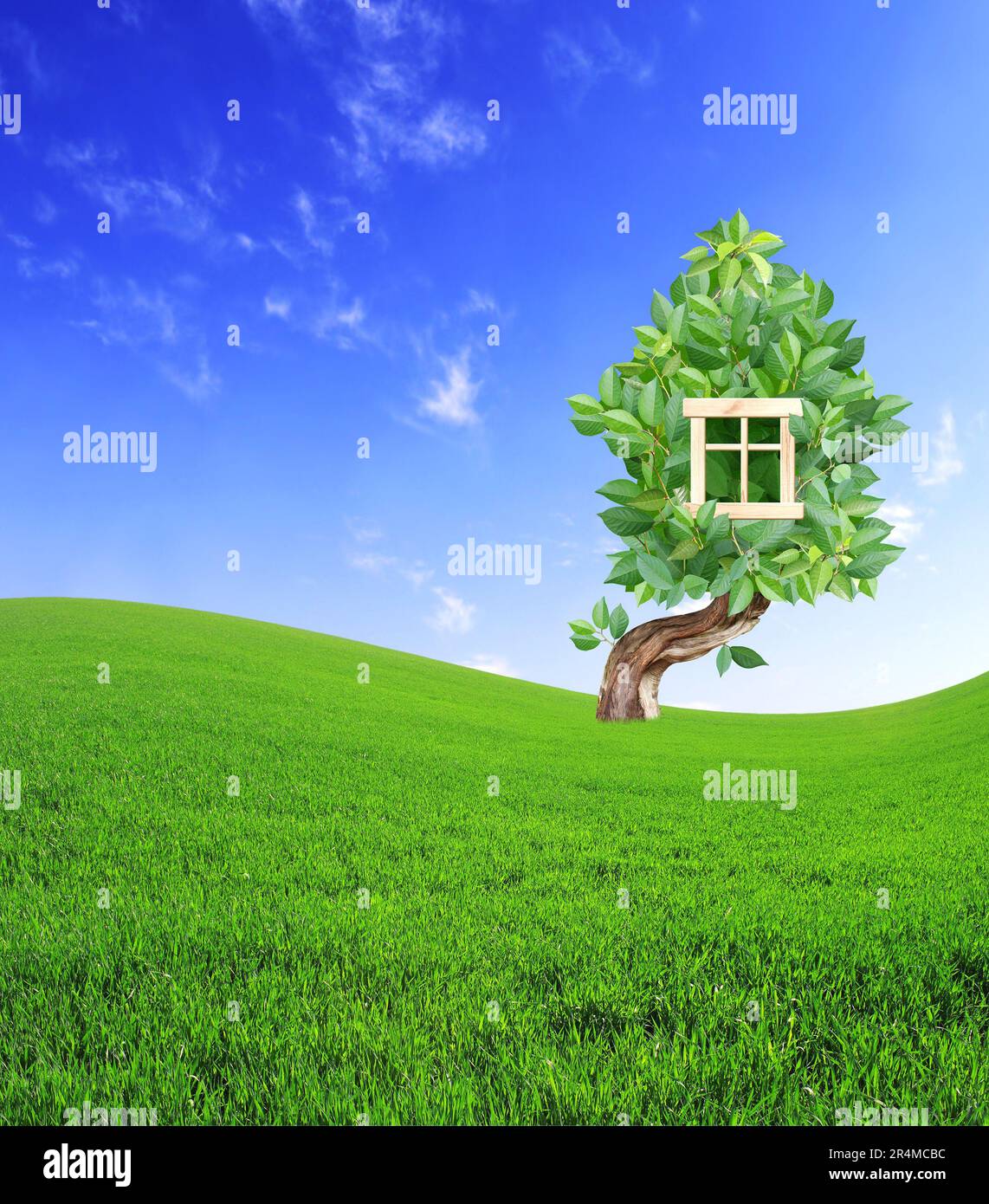 Eco friendly home concept. Ecology and green house conception. Green ... - Sustainable Home Conception