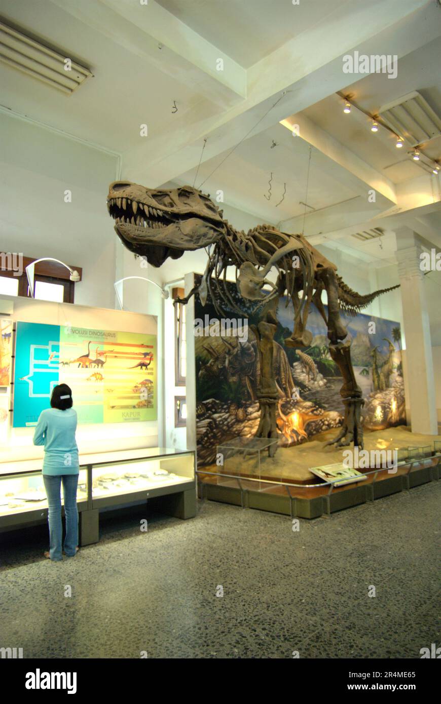 A woman visitor is reading information on panels in front of a reconstruction of a Tyrannosaurus rex at Museum Geologi (Geology Museum) in Bandung, West Java, Indonesia. Stock Photo
