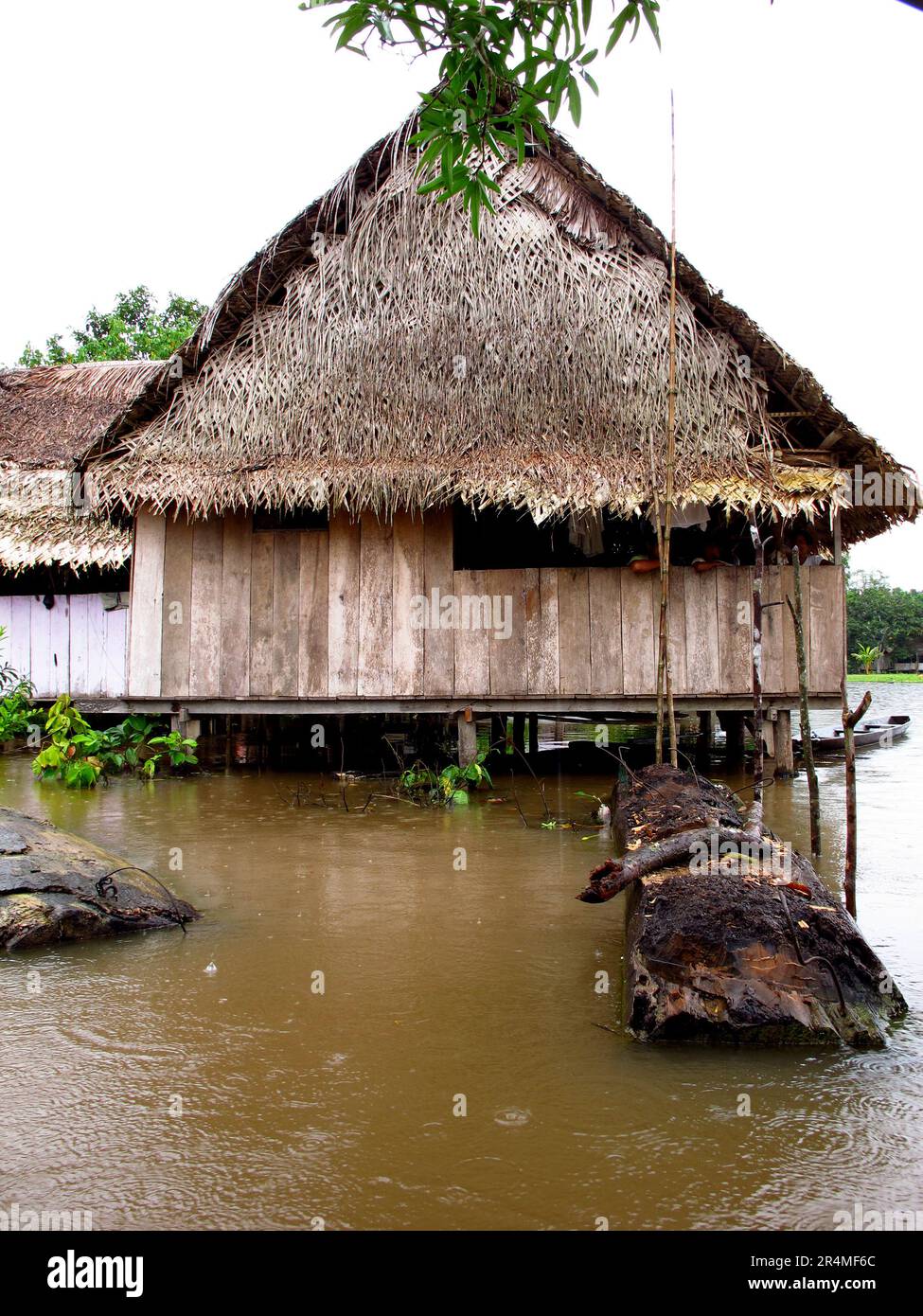 Brazil jungle house hi-res stock photography and images - Page 10 - Alamy, image size:975x1390