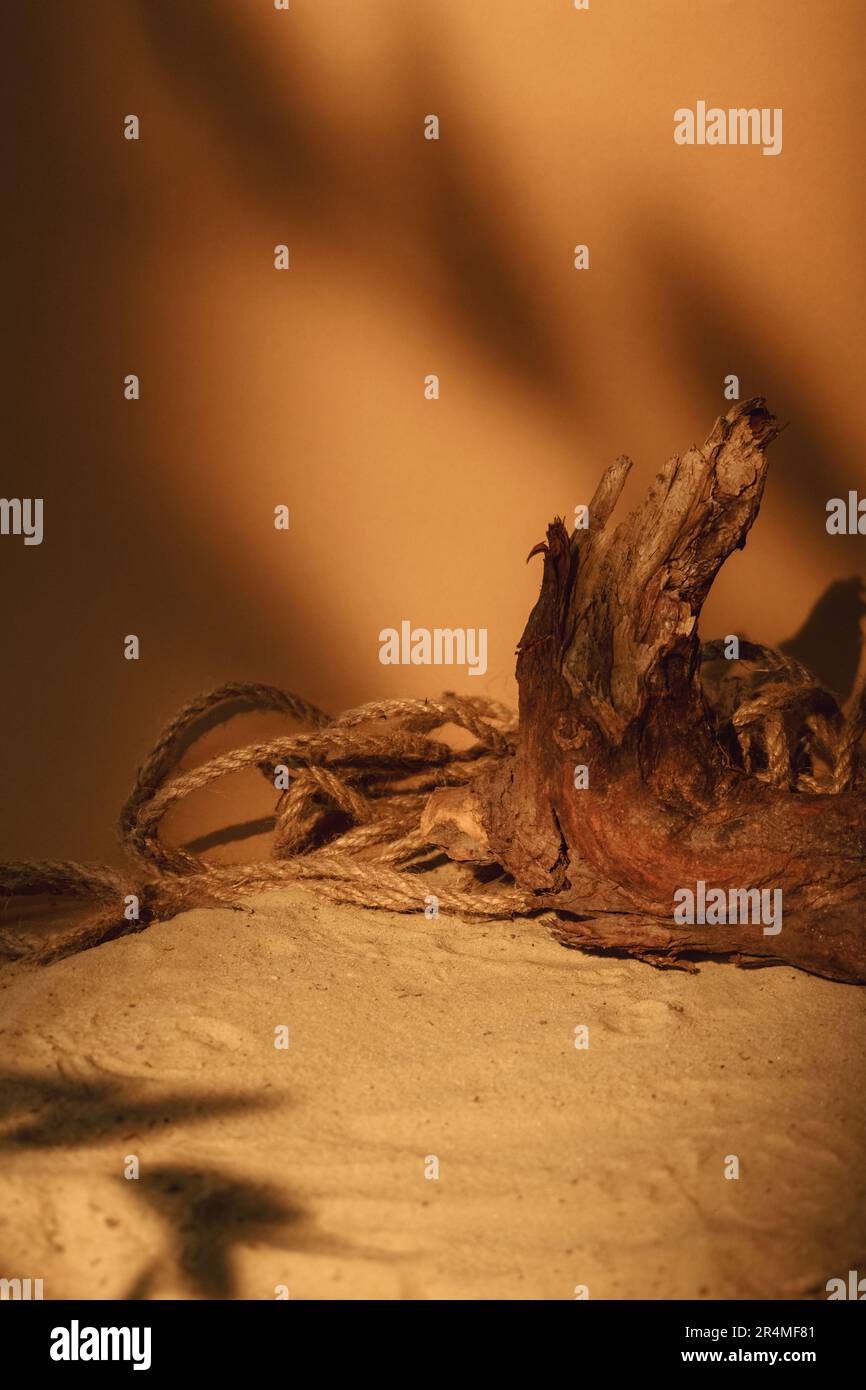 Sand arrangement dune composition wood bark rope Stock Photo - Alamy