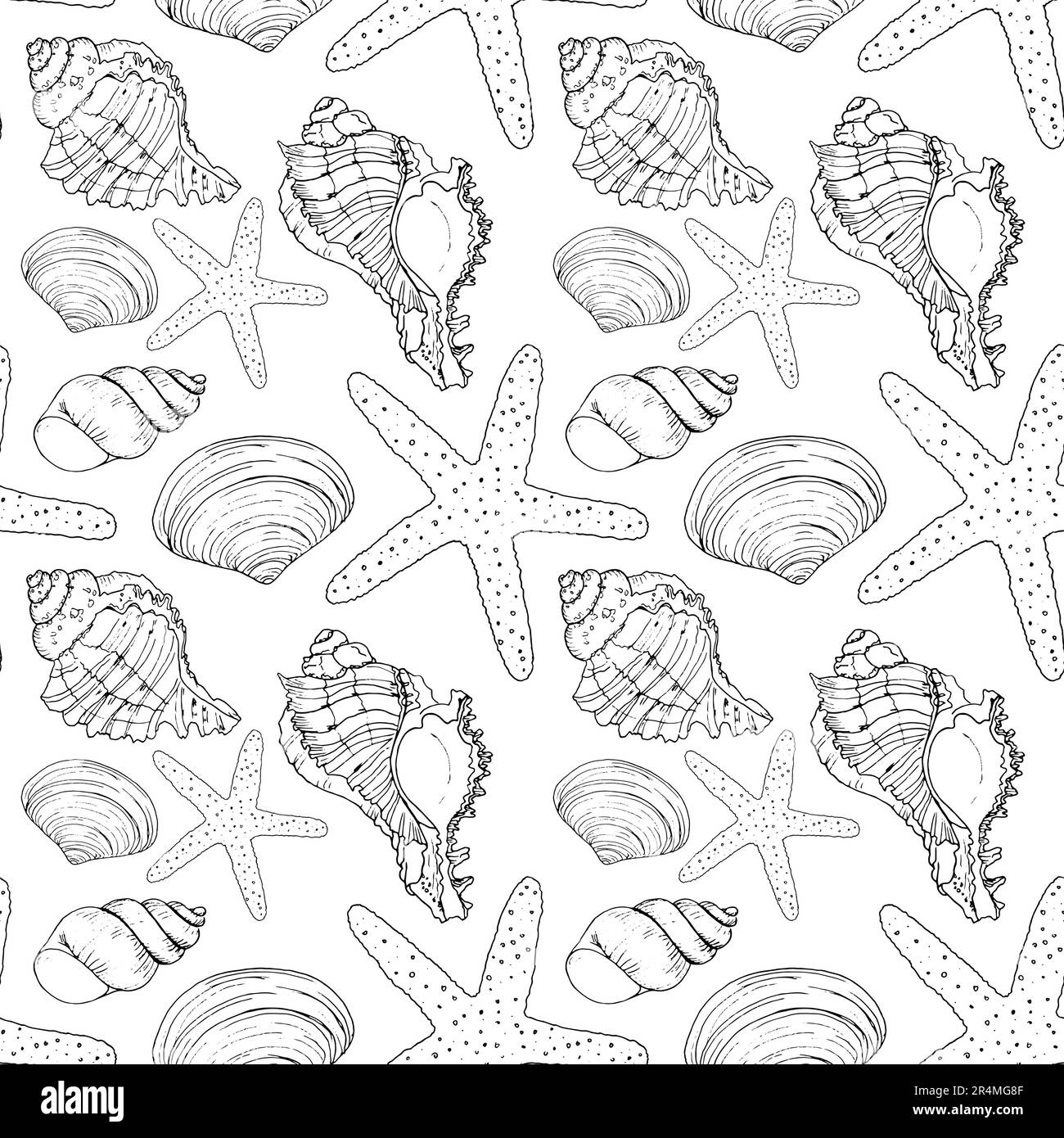 Hand drawn vector illustrations - seamless pattern of seashells. Marine background. Perfect for invitations, greeting cards, posters, prints, banners, Stock Photo
