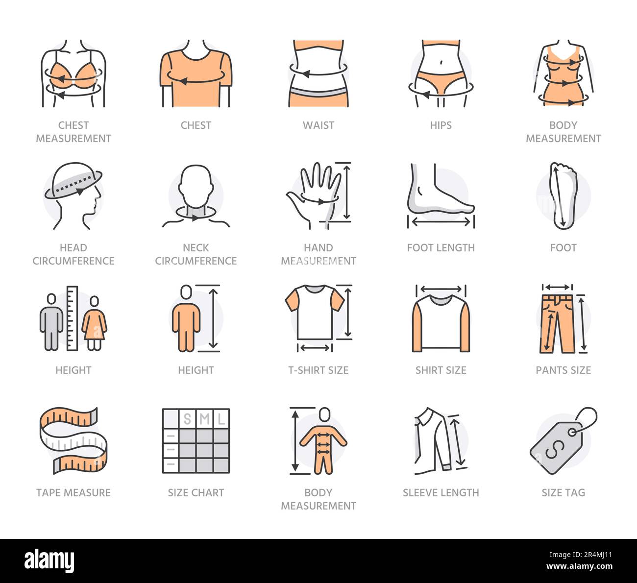 Clothing Size Chart Stock Illustrations – 573 Clothing Size Chart Stock  Illustrations, Vectors & Clipart - Dreamstime