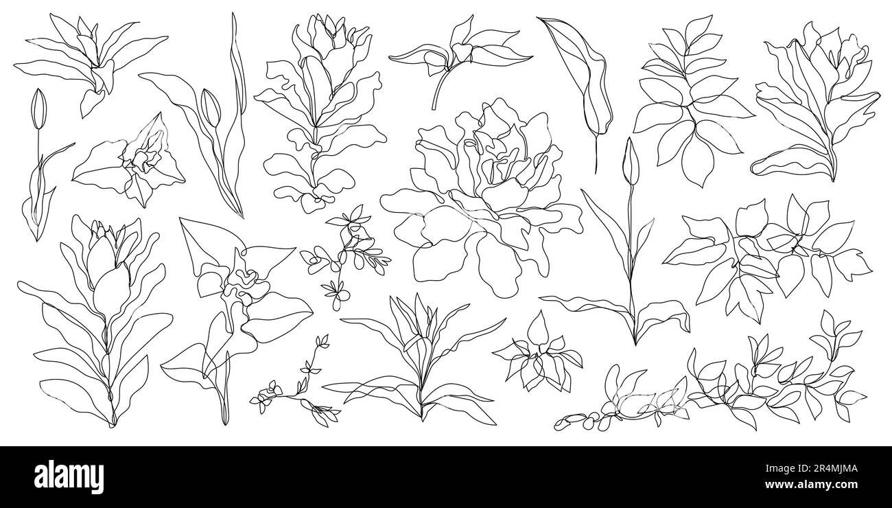Vector set of hand drawn, single continuous line flowers, leaves. Art ...