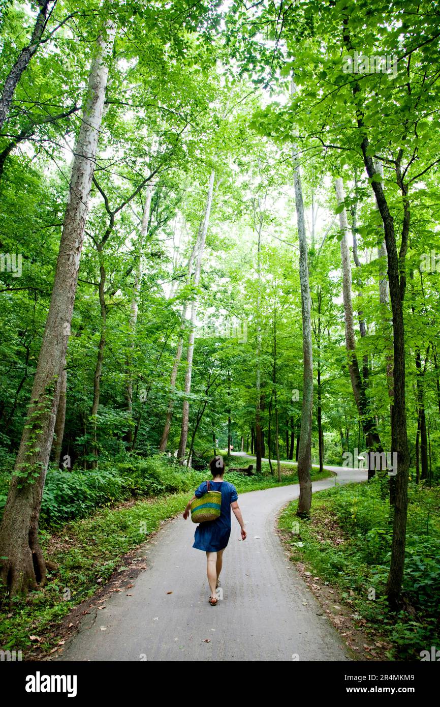 Woman walks beneath trees hi-res stock photography and images - Alamy