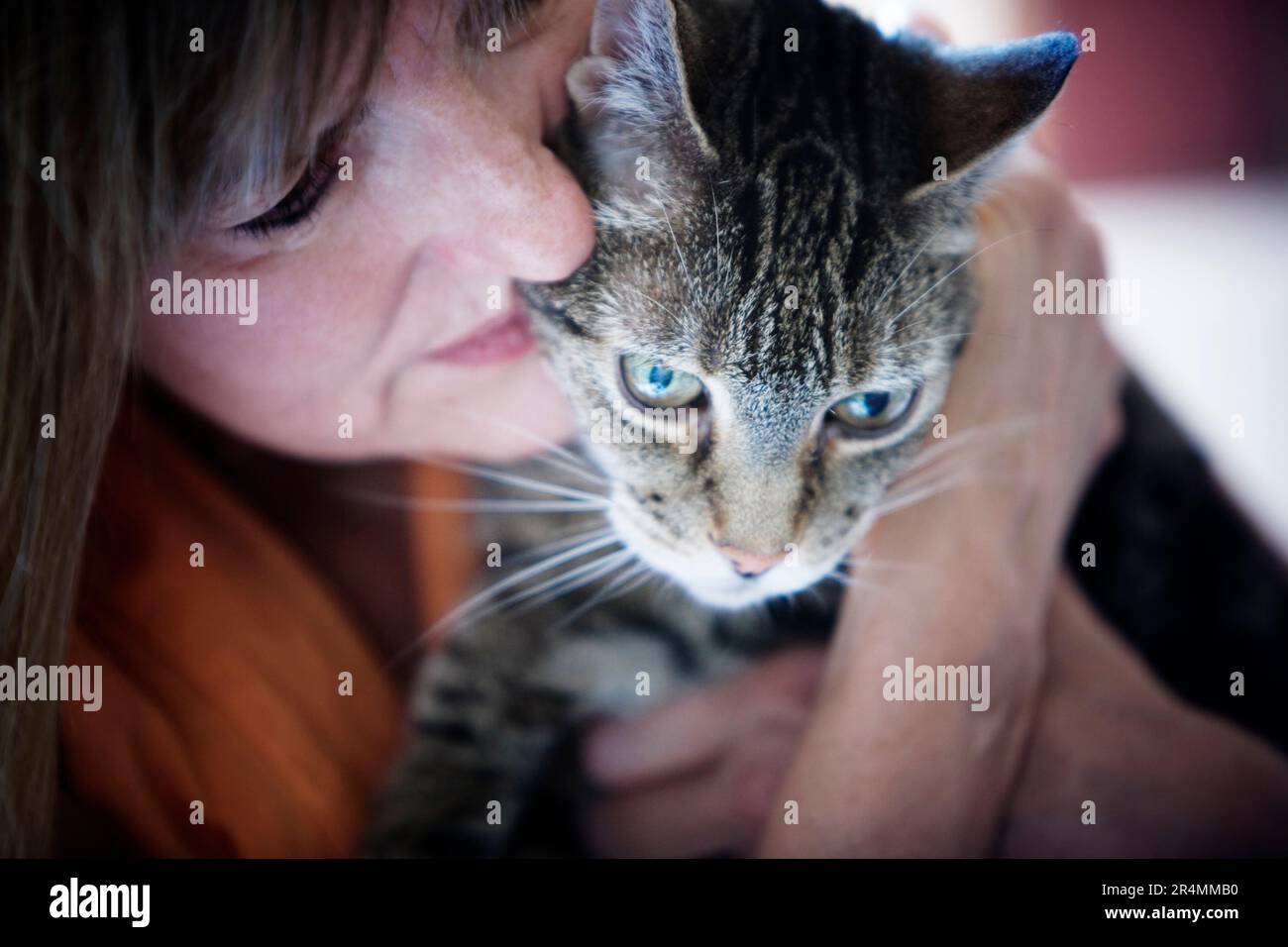 A woman lovingly holding her cat. Stock Photo